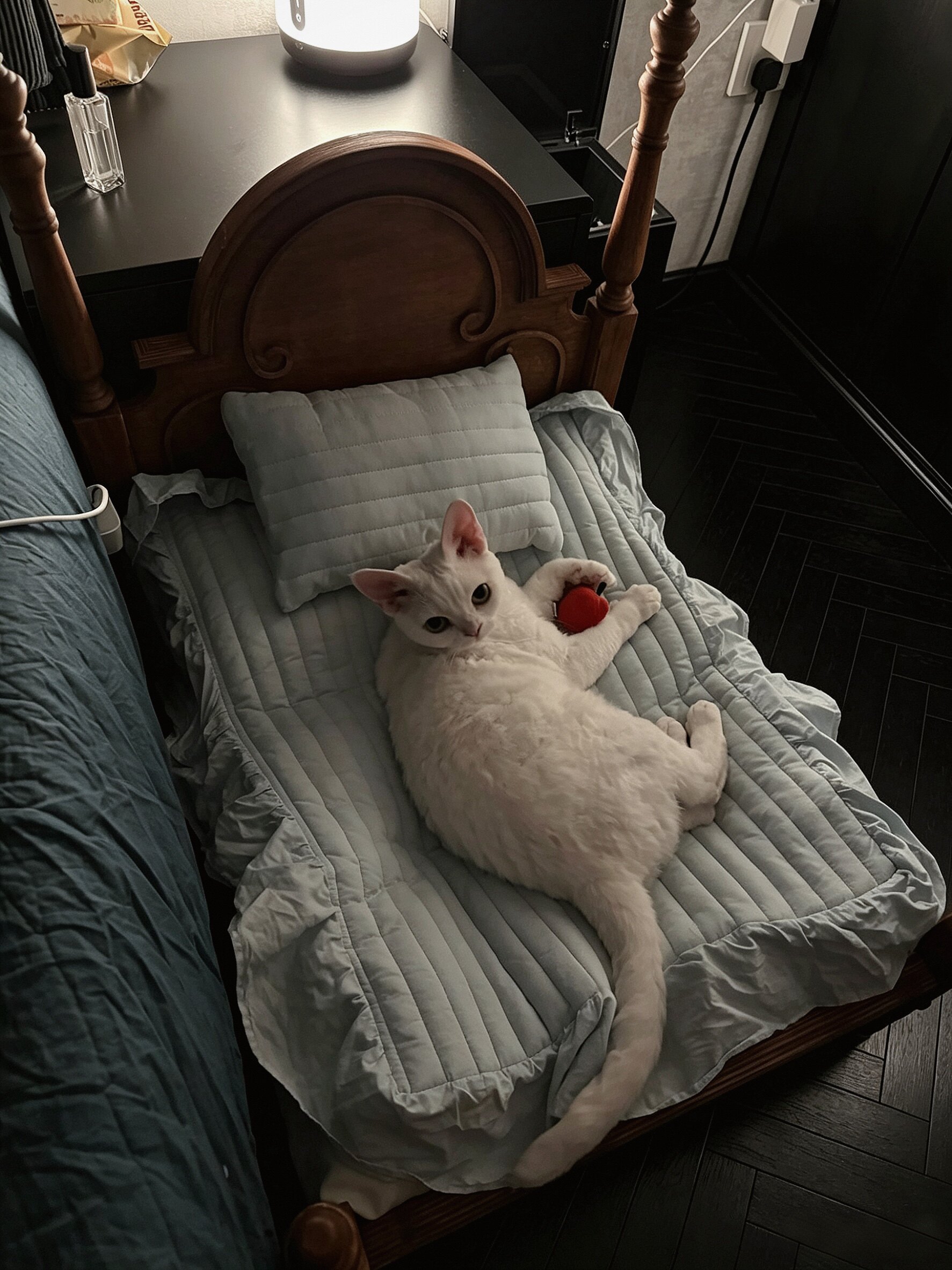small wooden cat bed with mattress in a customer's home - Anna Princess Vintage Pet Bed
